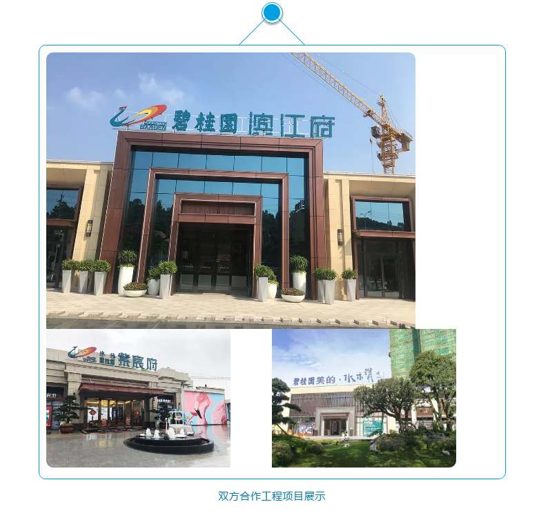 9001cc金沙以诚为本(中国)有限公司官网